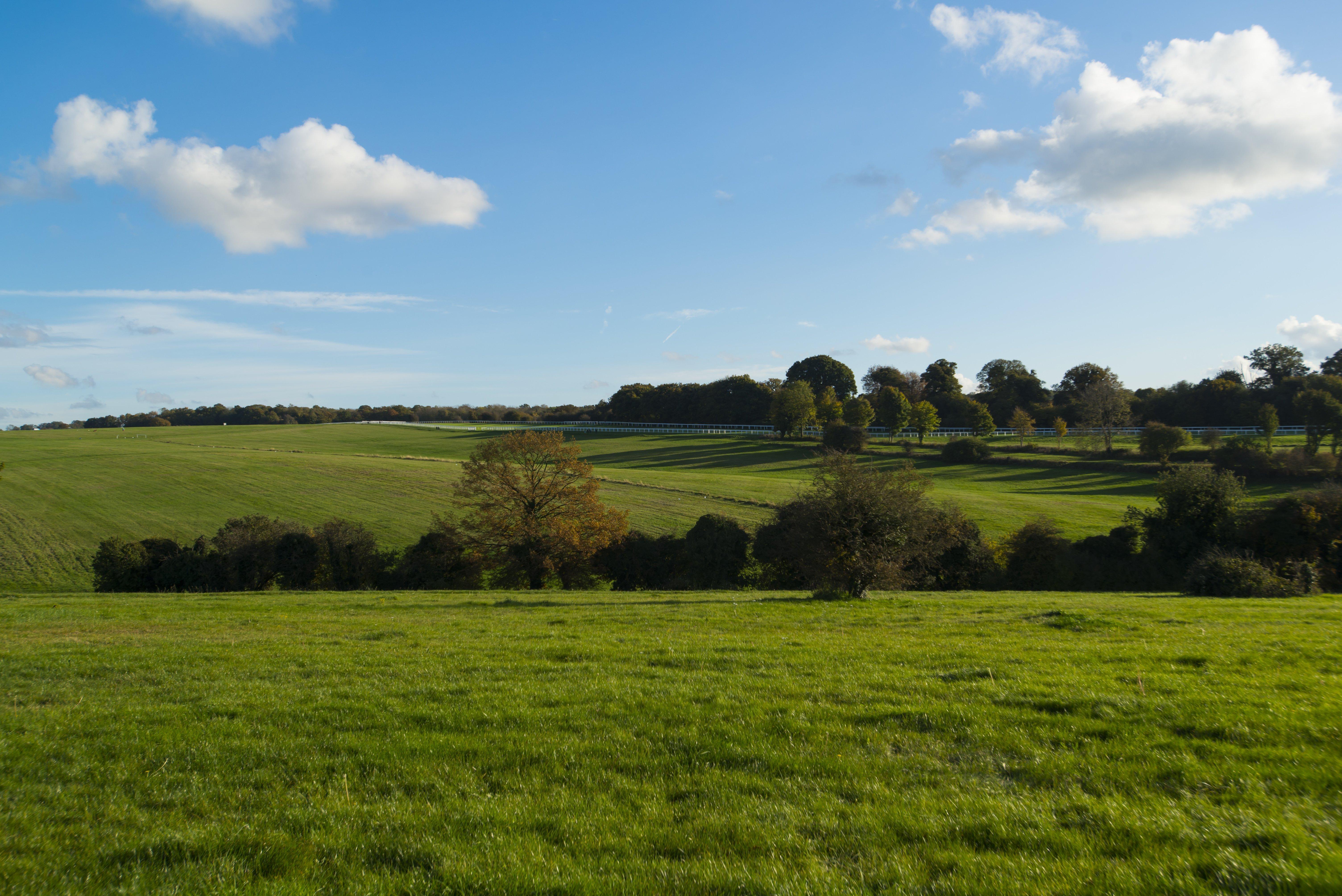 Holiday Inn Express London - Epsom Downs By Ihg Luaran gambar